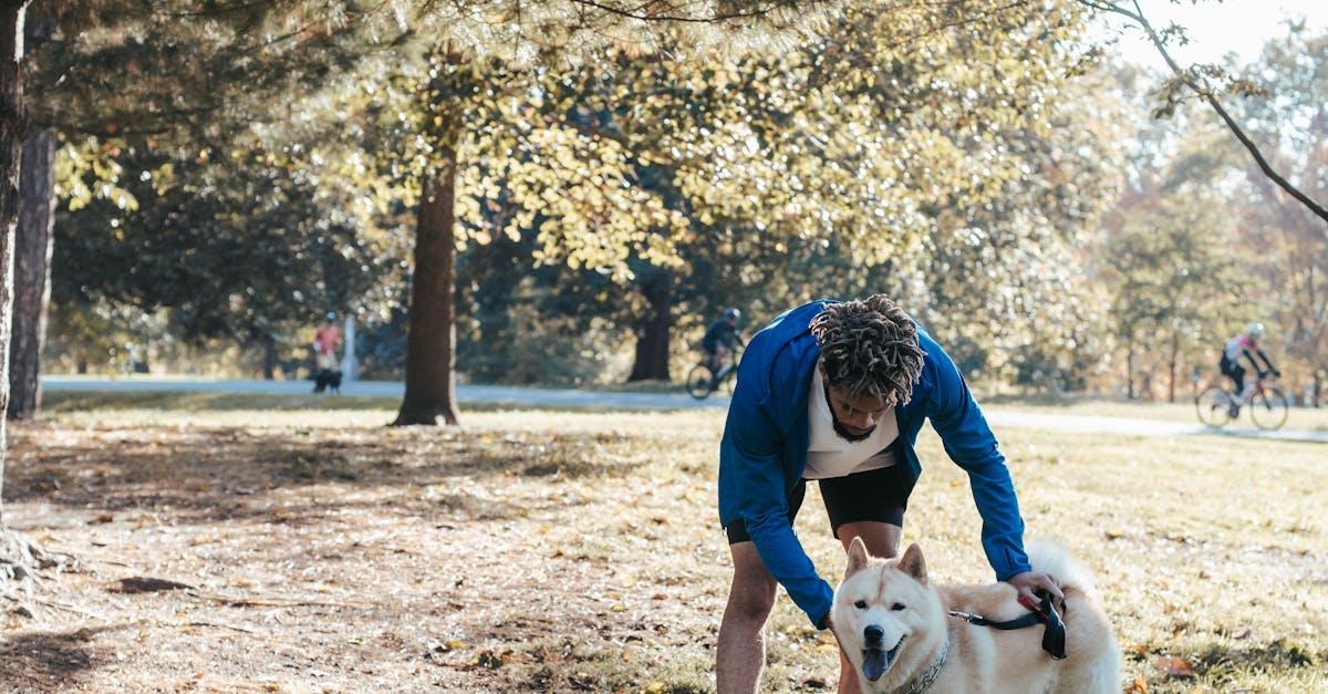 Lawn care services in Queen Creek
